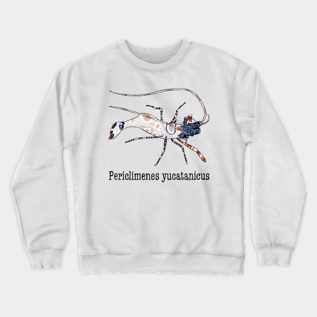 Periclimenes yucatanicus Crewneck Sweatshirt by EmilyAnglewing